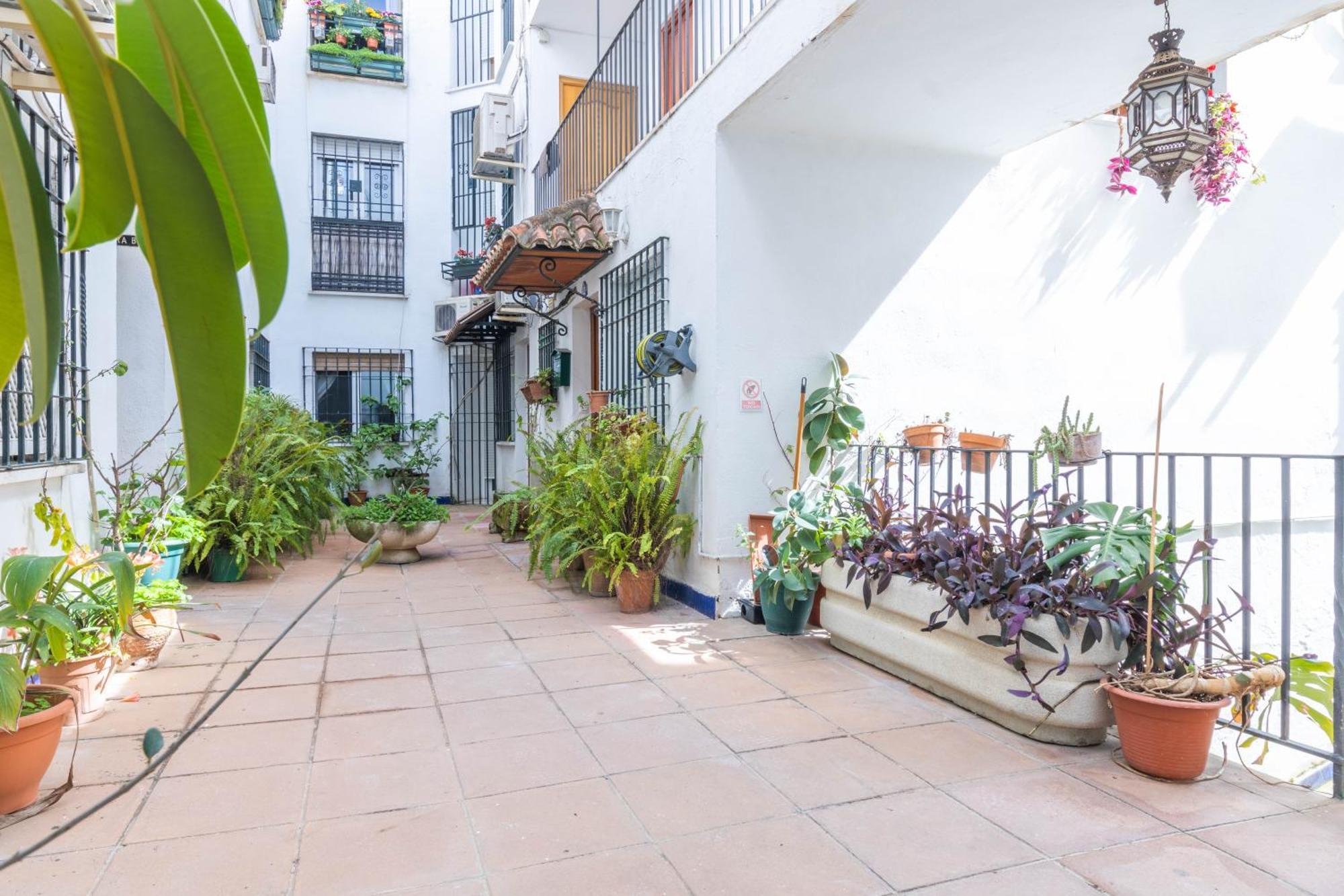 Estrella Del Sur Apartment